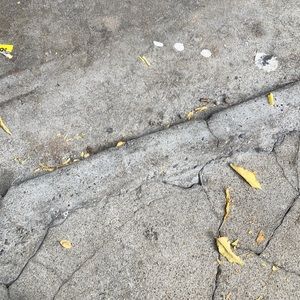 Meet your Posher, Roberto